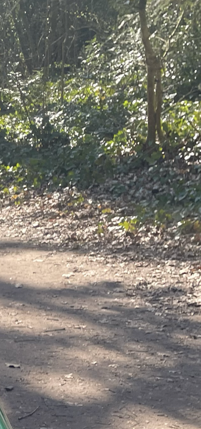 Dit is het nieuwe onderwerp